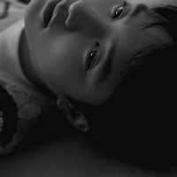 Rose - English Version