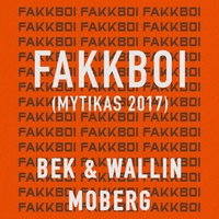 Fakkboi (Mytikas 2017)