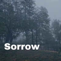 Sound image