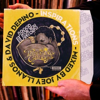 Knights of the Jaguar