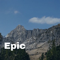 Action Music(853437)