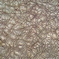 Appropriate Basketball