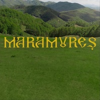 Maramureș (feat. Orchestra Maramureș)