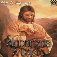 Tu Has Venido A La Orilla