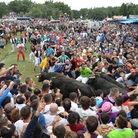 Fiestas de San Juan