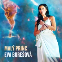 Malý princ