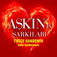 Gülü Soldurmam - Aşkın'ın Şarkıları
