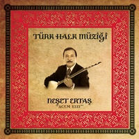 Neredesin Sen (Album Version)