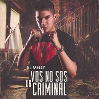 Vos No Sos un Criminal