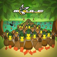 Duck Army