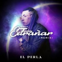 Lo Vas a Extrañar - Remix