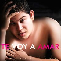 Te Voy a Amar