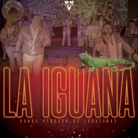 La Iguana