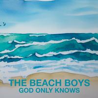 Wouldn’t It Be Nice