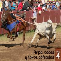 Al Caballo Gustavito