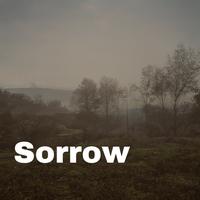It's a sad piano solo song(980592)