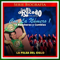 Mi Castigo