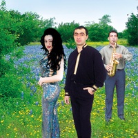 Ardă-Vă Focu' de Bani