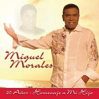 Despertar Contigo (with Kaleth Morales) (Album Version)