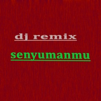 Senyumanmu Dj Remix