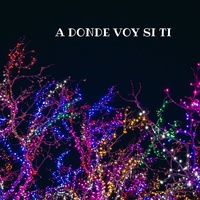 A Donde Voy Si Ti