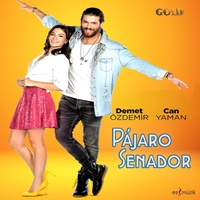 Pájaro Senador Música Genérica Versión Lenta