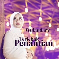 TikTok Sound - Terjebak Penantian