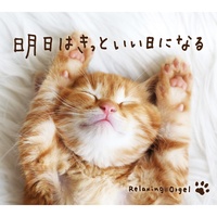 Ashita-wa Kitto Iihi-ni Naru