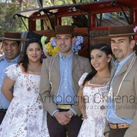 Bellos Ojos Morenos