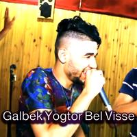 Galbek Yogtor Bel Visse