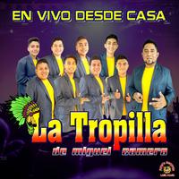 Pinotepa / Juchitan y Huehuetan / Son - En Vivo