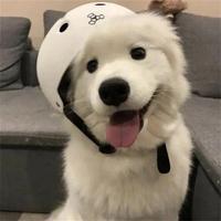 捣蛋的一天专用配乐