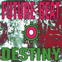 Destiny (Maxi Mix)