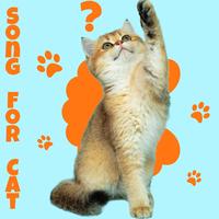 My Cat