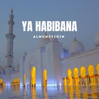 Ya Habibana (Live)