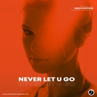 Never Let U Go (Original Mix)