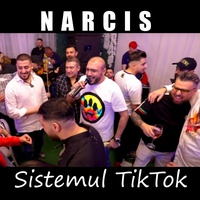 Sistemul TikTok - Live