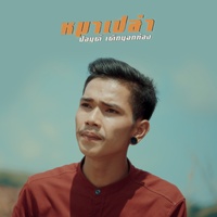 หมาเปล่า