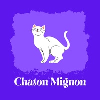 Chaton Mignon