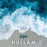 Hullám