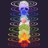 528 hz (Positive Transformation)