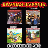 Саня пионер