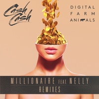 Millionaire (feat. Nelly) (Cash Cash Remix)