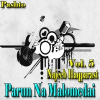 Parun Na Malomedai