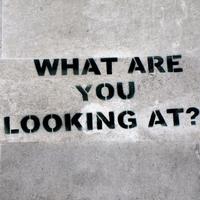 boy, what are you looking at