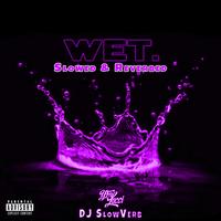 Wet (She Got That...) [Slowed & Reverbed]