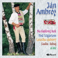 Pod Telgártom