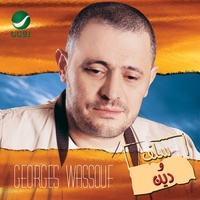 Saber Werady