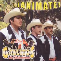 Las Flores De Tu Florero