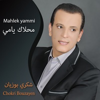 Mahlek Yammi